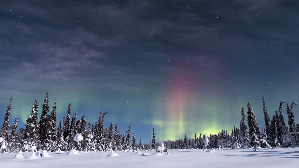 冬季森林上空的北极光。